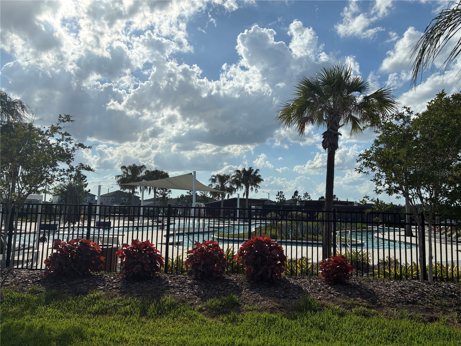 31371 Amberview Bend Wesley Chapel FL 33545 TB8511631 image39