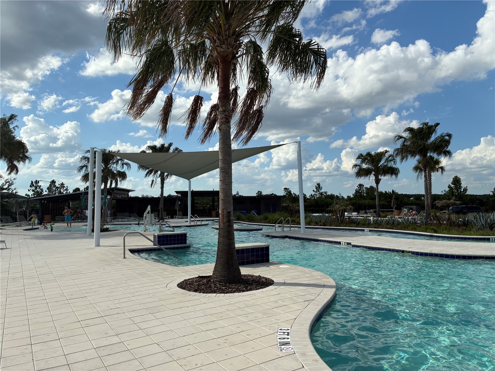 31371 Amberview Bend Wesley Chapel FL 33545 TB8511631 image42