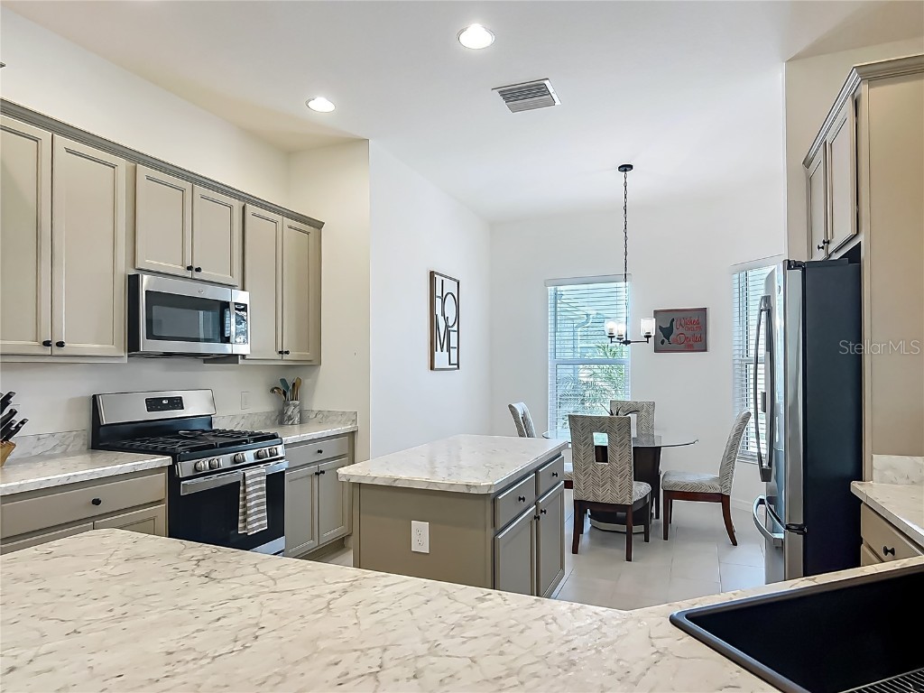 3138 Aurea Place The Villages FL 32163 G5096964 image13