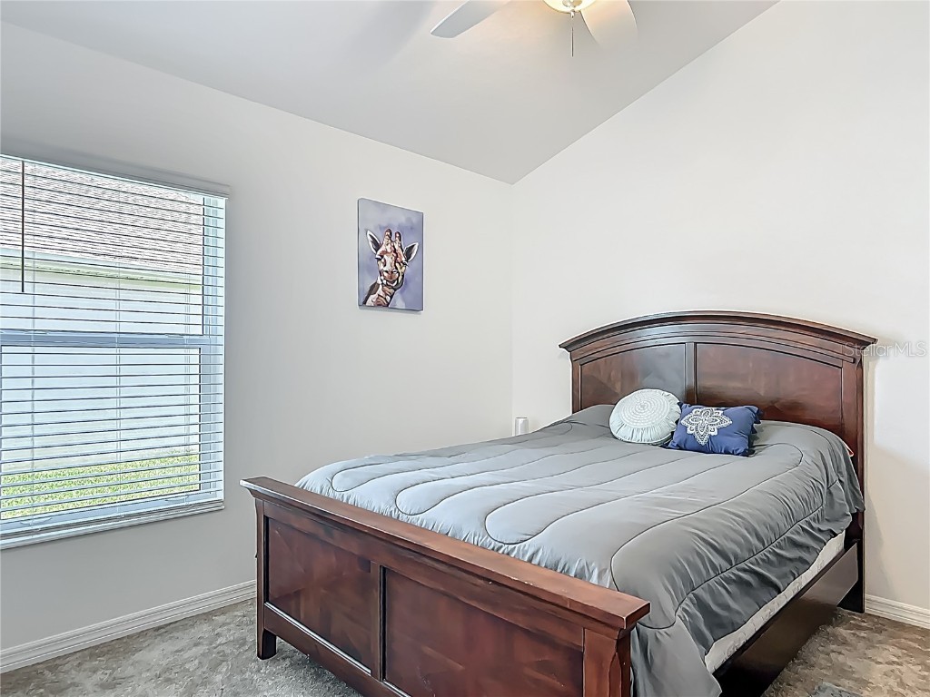 3138 Aurea Place The Villages FL 32163 G5096964 image23