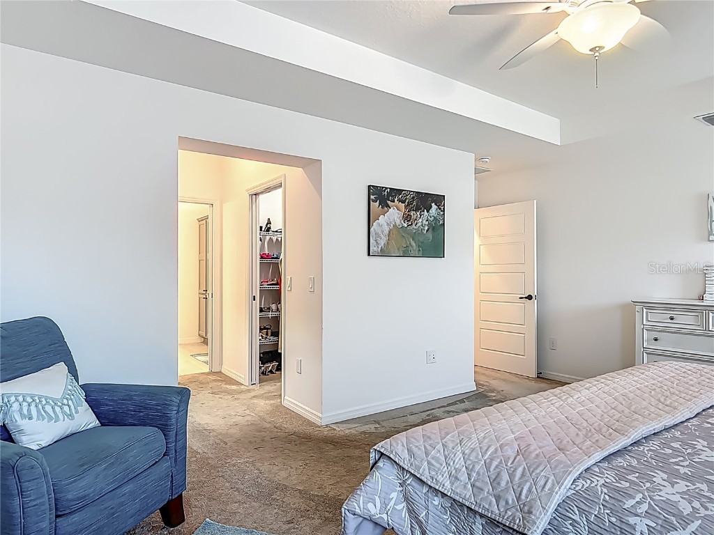 3138 Aurea Place The Villages FL 32163 G5096964 image34