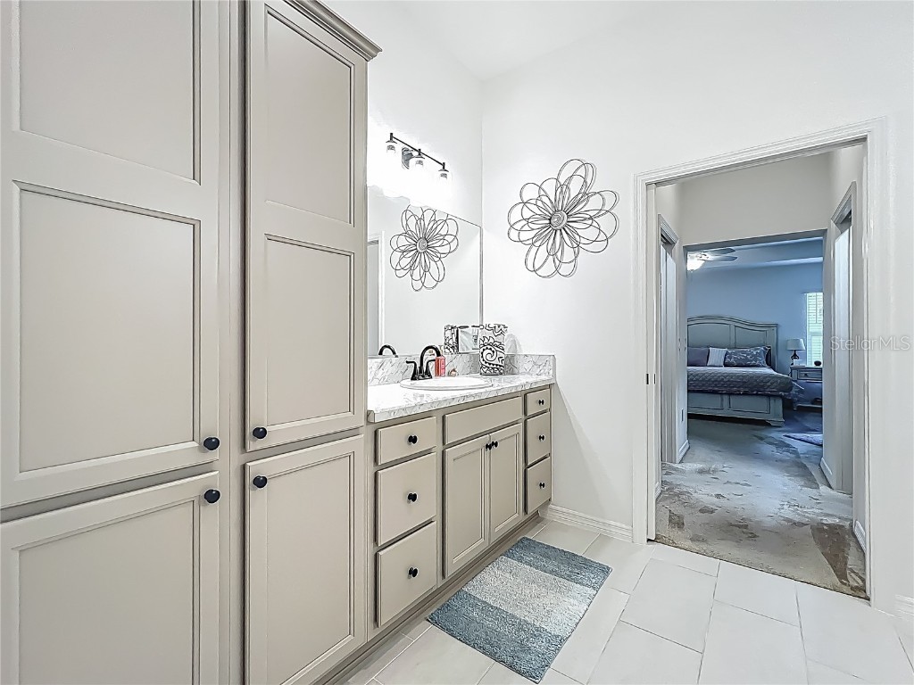 3138 Aurea Place The Villages FL 32163 G5096964 image40