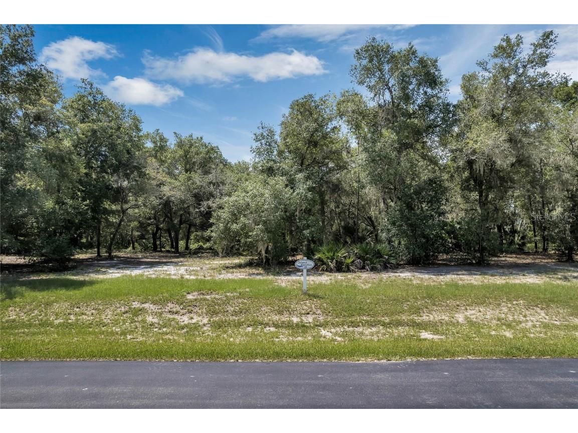 3138 Bright Lake Circle Leesburg FL 34748 G5071425 image1