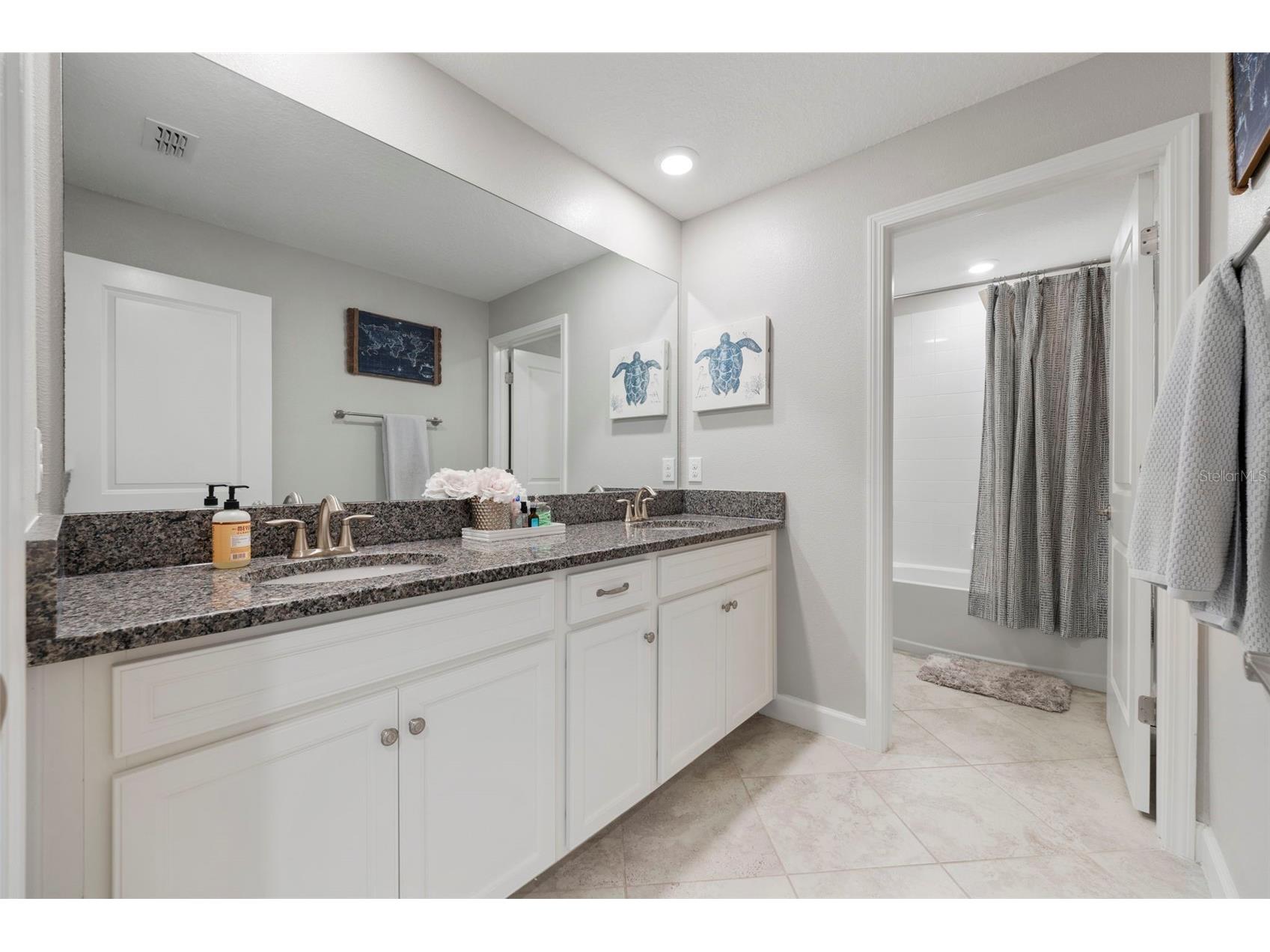 3138 Hilliard Drive Wesley Chapel FL 33543 TB8461289 image49