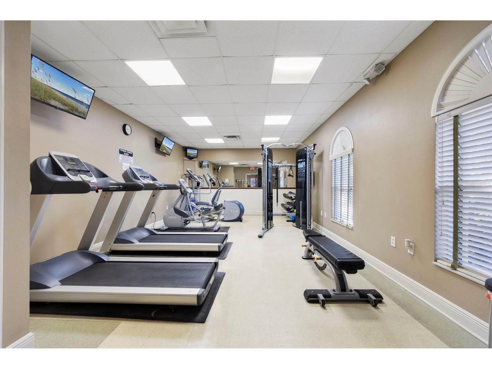 3138 Hilliard Drive Wesley Chapel FL 33543 TB8461289 image60