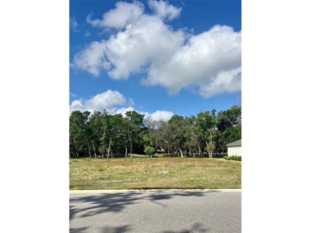 3138 Silvermines Avenue Ormond Beach FL 32174 FC308669 image5