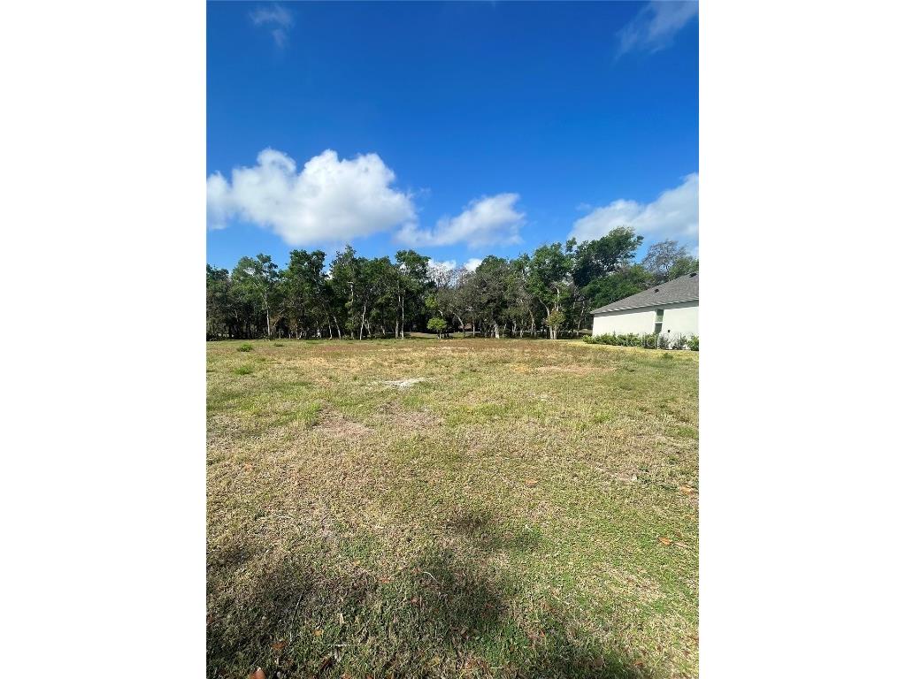 3138 Silvermines Avenue Ormond Beach FL 32174 FC308669 image6