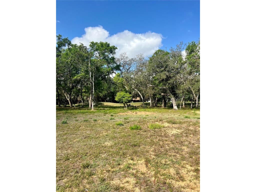 3138 Silvermines Avenue Ormond Beach FL 32174 FC308669 image7