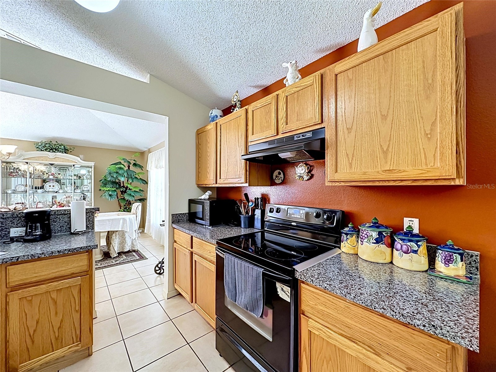 3138 Turret Drive Kissimmee FL 34743 S5150720 image16