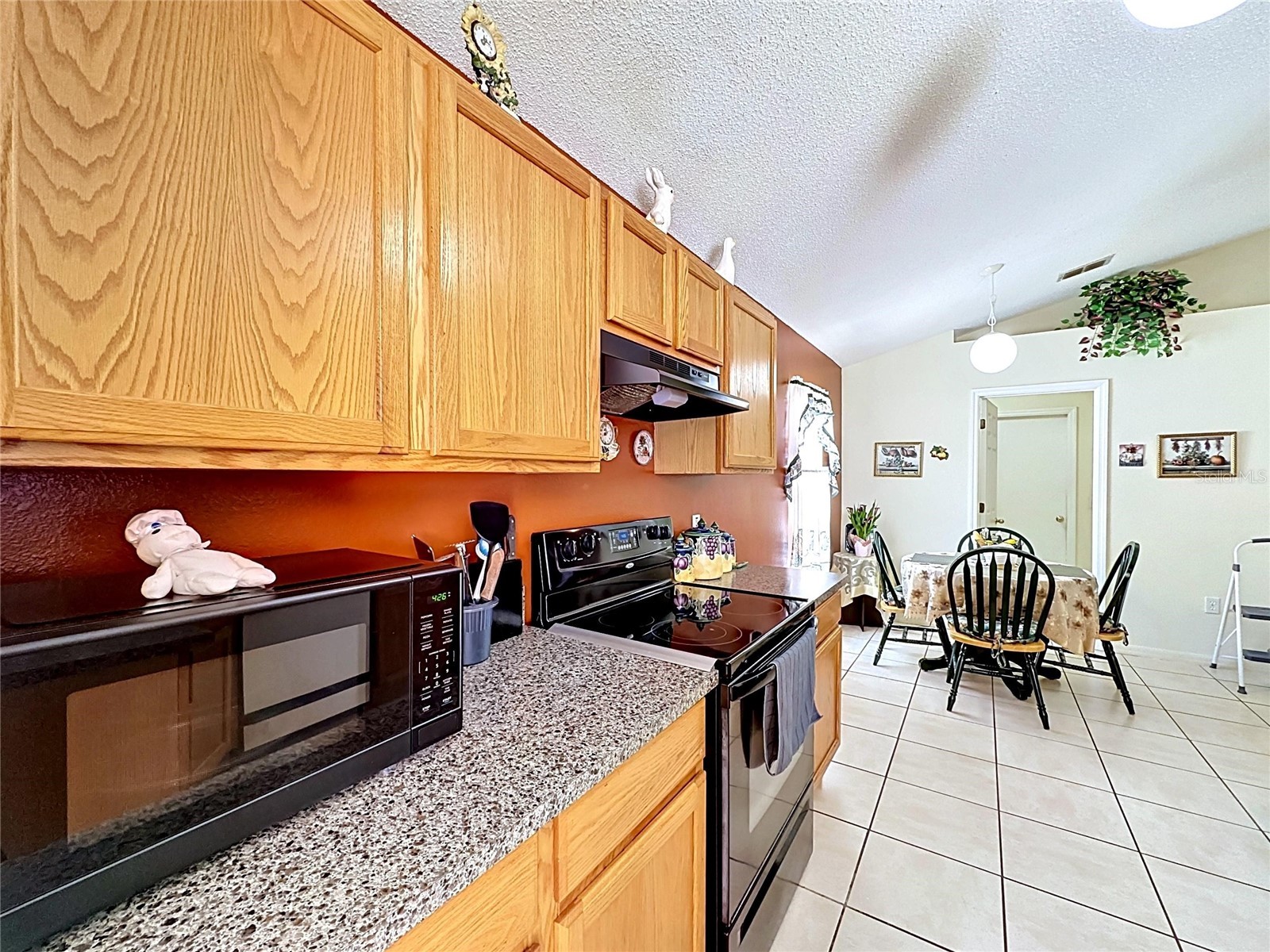 3138 Turret Drive Kissimmee FL 34743 S5150720 image21