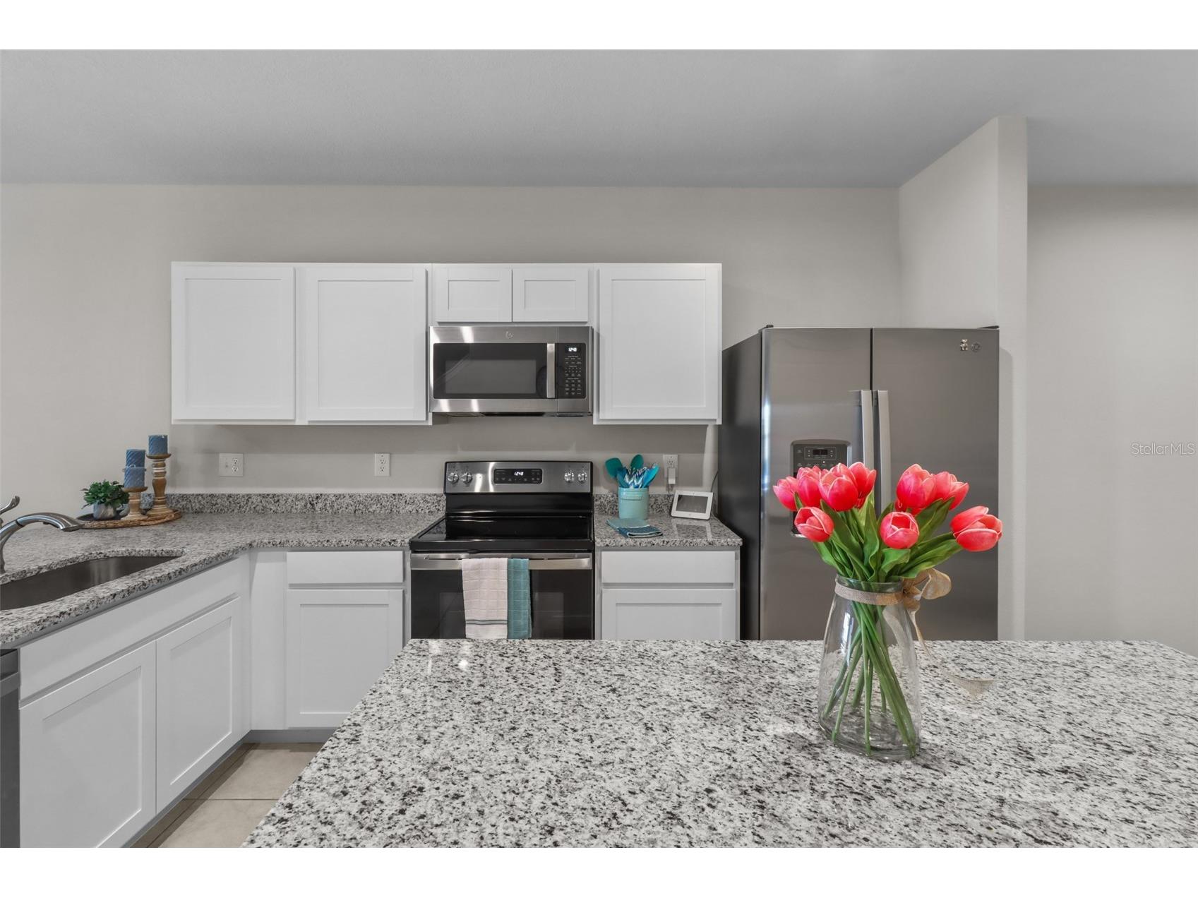 3138 Victoria Inlet Drive Holiday FL 34691 TB8501010 image25