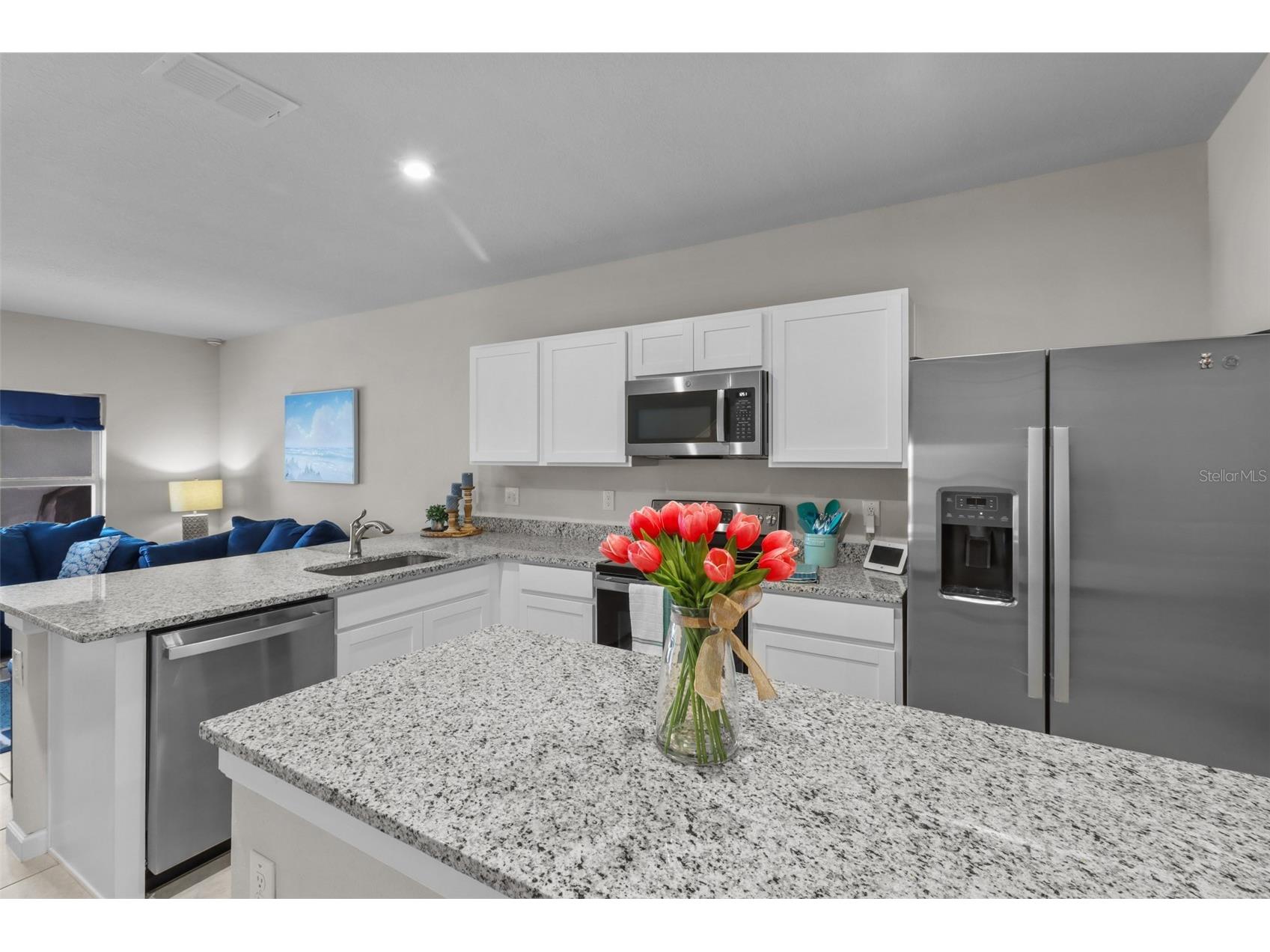 3138 Victoria Inlet Drive Holiday FL 34691 TB8501010 image26