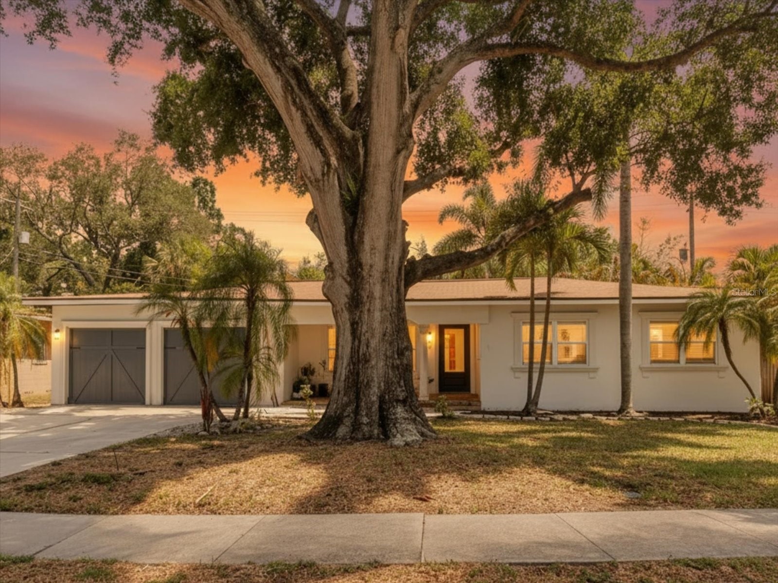 3138 W Euclid Avenue Tampa FL 33629 TB8513838 image1