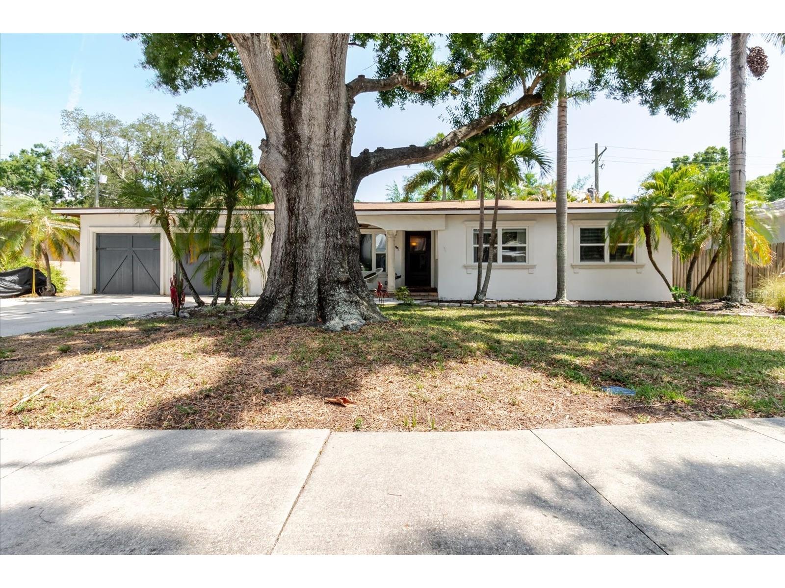 3138 W Euclid Avenue Tampa FL 33629 TB8513838 image10