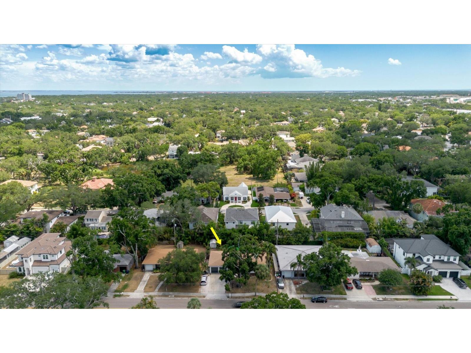 3138 W Euclid Avenue Tampa FL 33629 TB8513838 image80