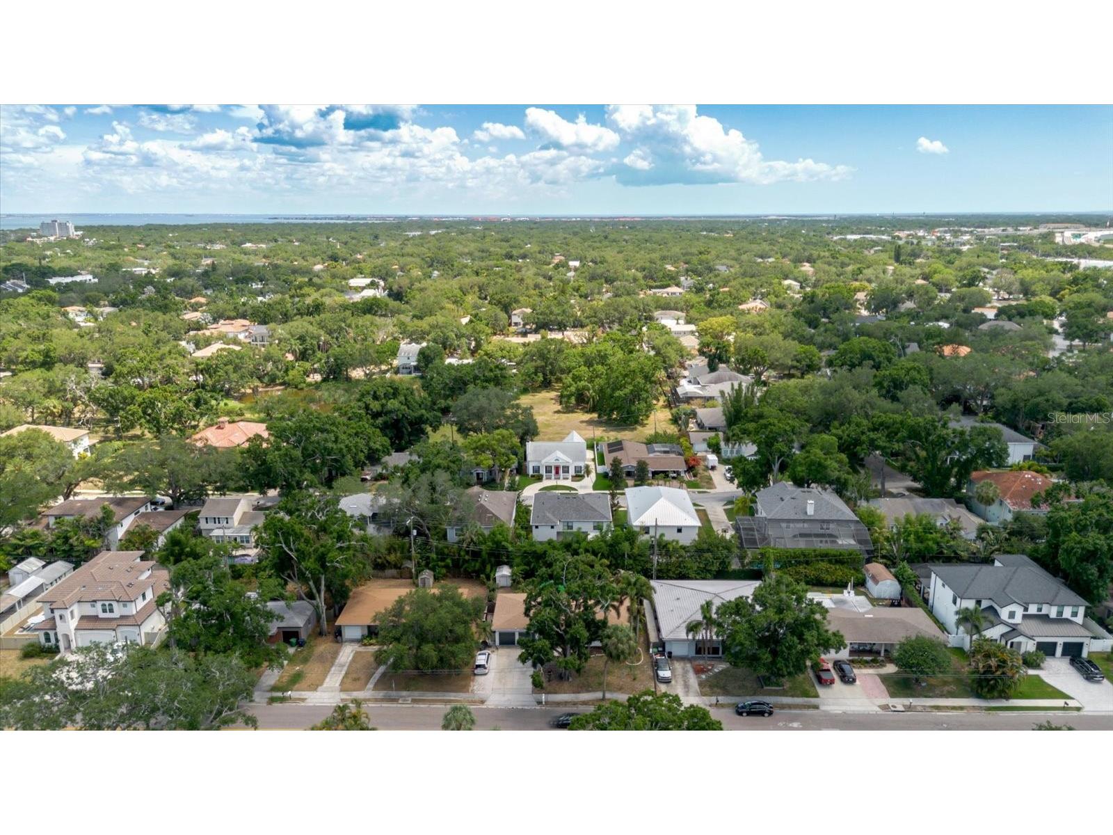 3138 W Euclid Avenue Tampa FL 33629 TB8513838 image81