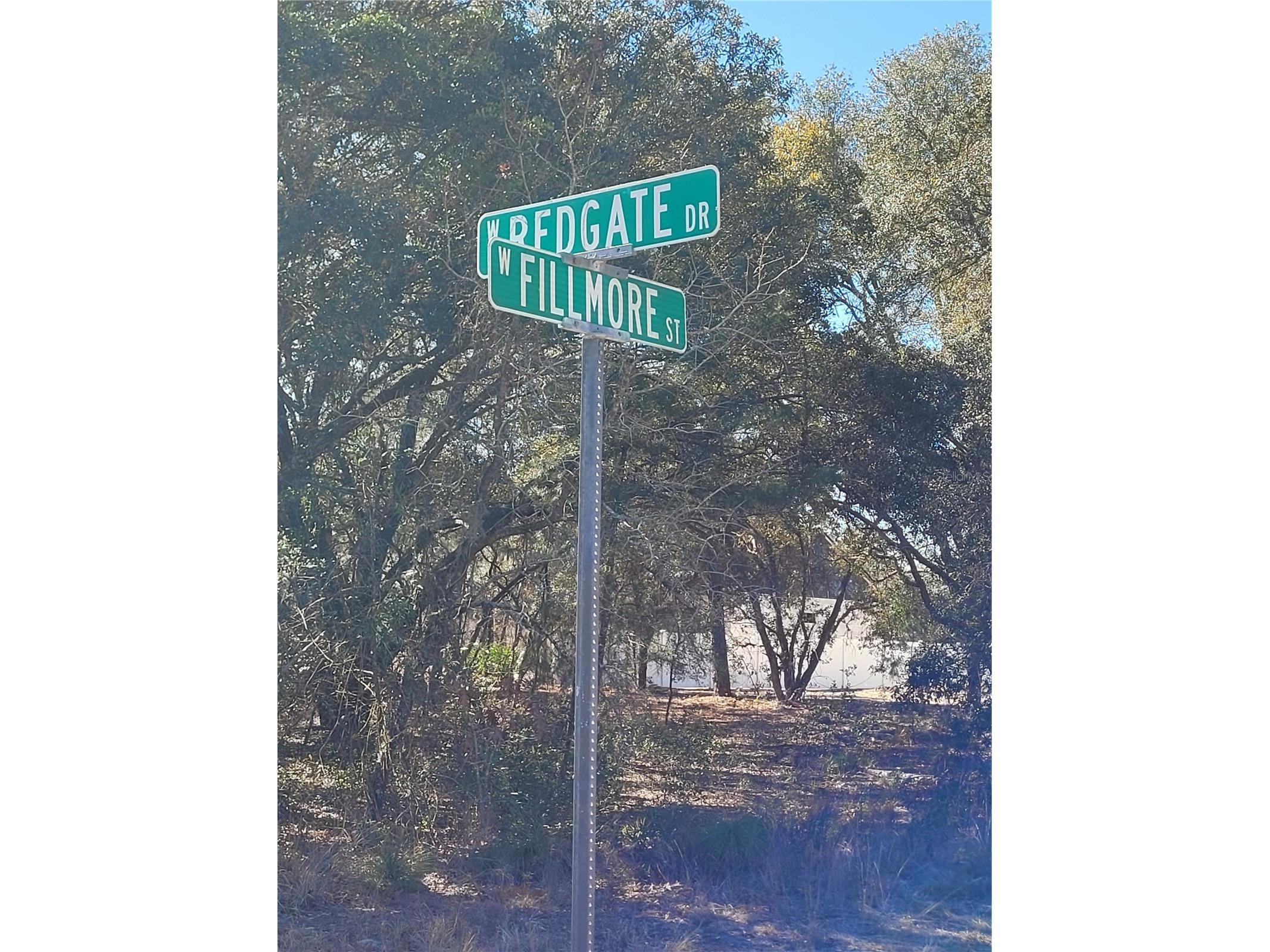 3138 W Redgate Drive Dunnellon FL 34433 OM718095 image10