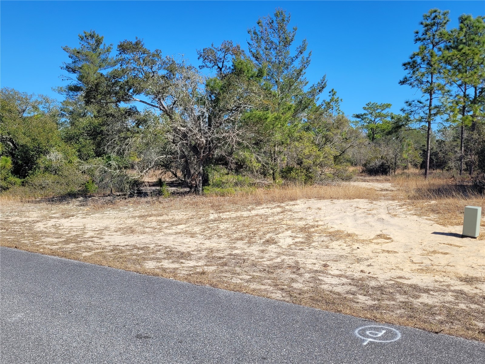 3138 W Redgate Drive Dunnellon FL 34433 OM718095 image2