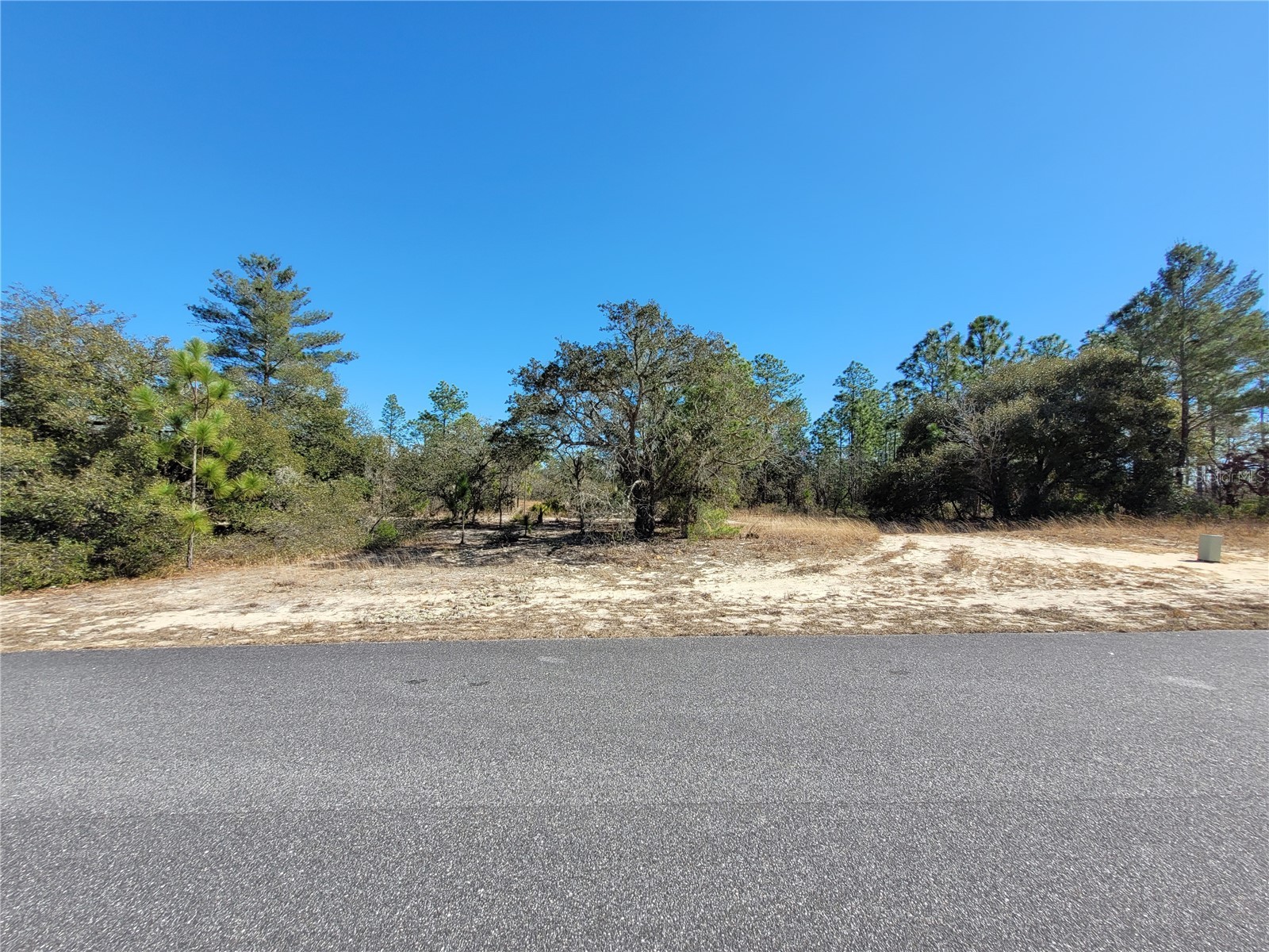 3138 W Redgate Drive Dunnellon FL 34433 OM718095 image3