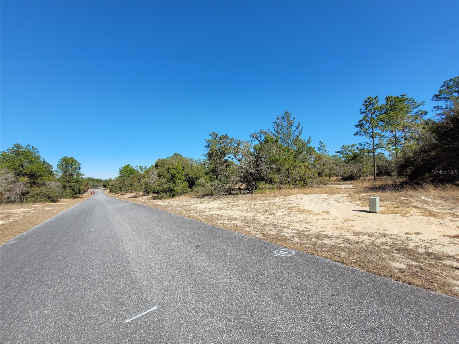 3138 W Redgate Drive Dunnellon FL 34433 OM718095 image4
