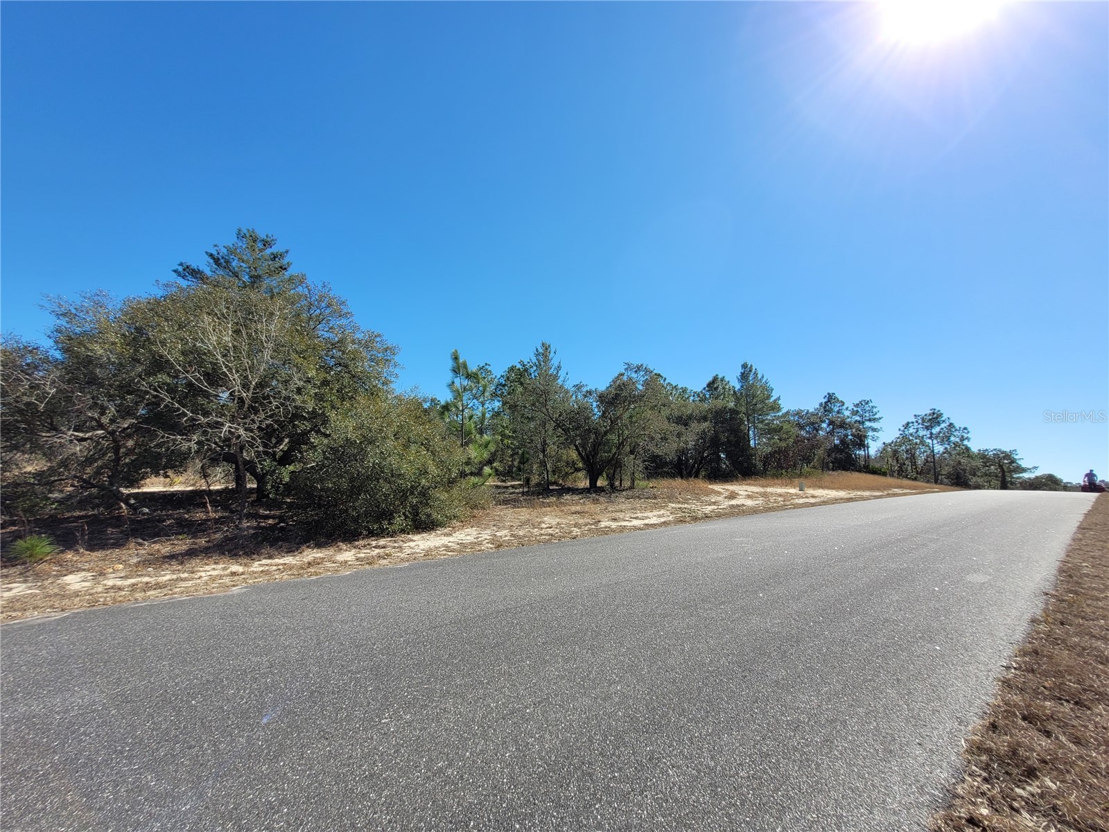 3138 W Redgate Drive Dunnellon FL 34433 OM718095 image5