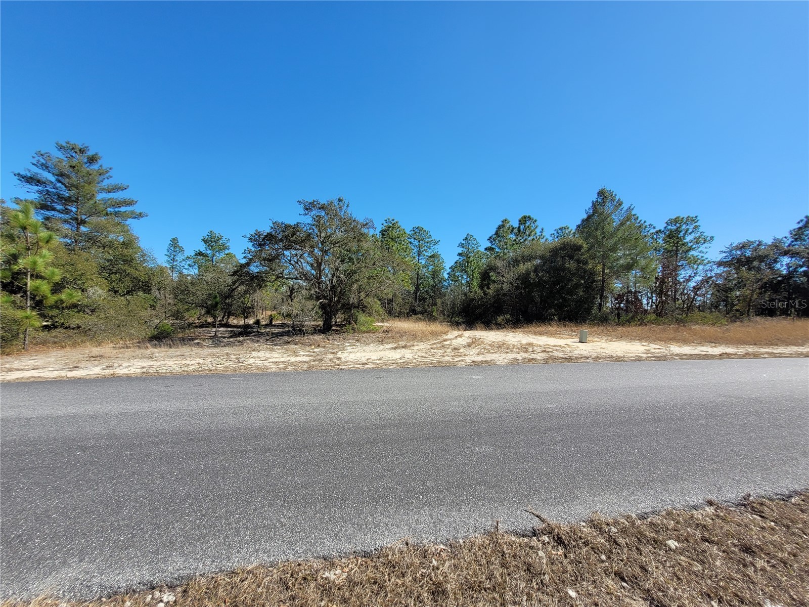 3138 W Redgate Drive Dunnellon FL 34433 OM718095 image6