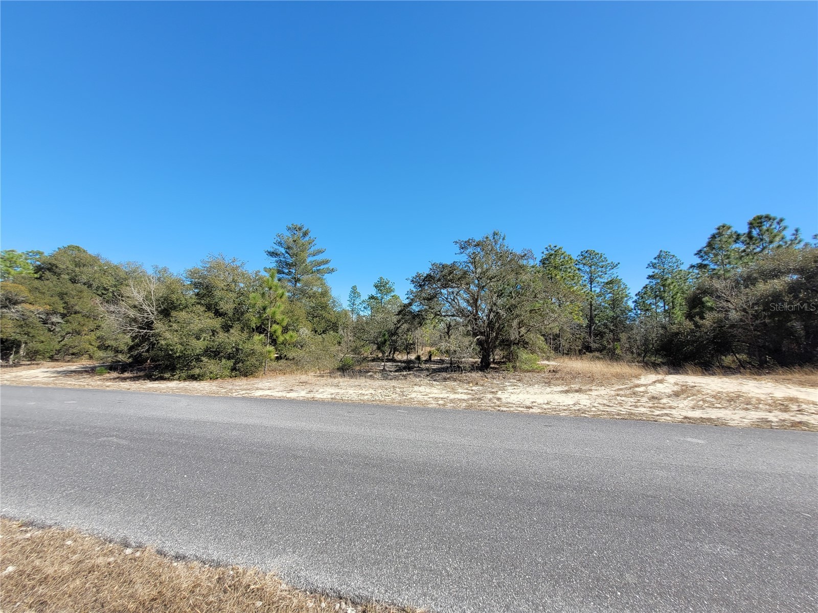 3138 W Redgate Drive Dunnellon FL 34433 OM718095 image7