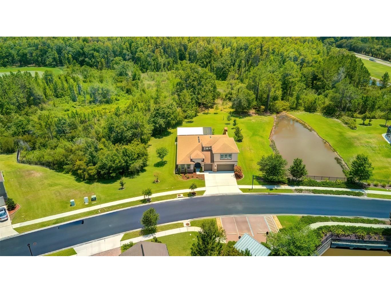 31380 Driscoll Drive Wesley Chapel FL 33543 T3452856 image1