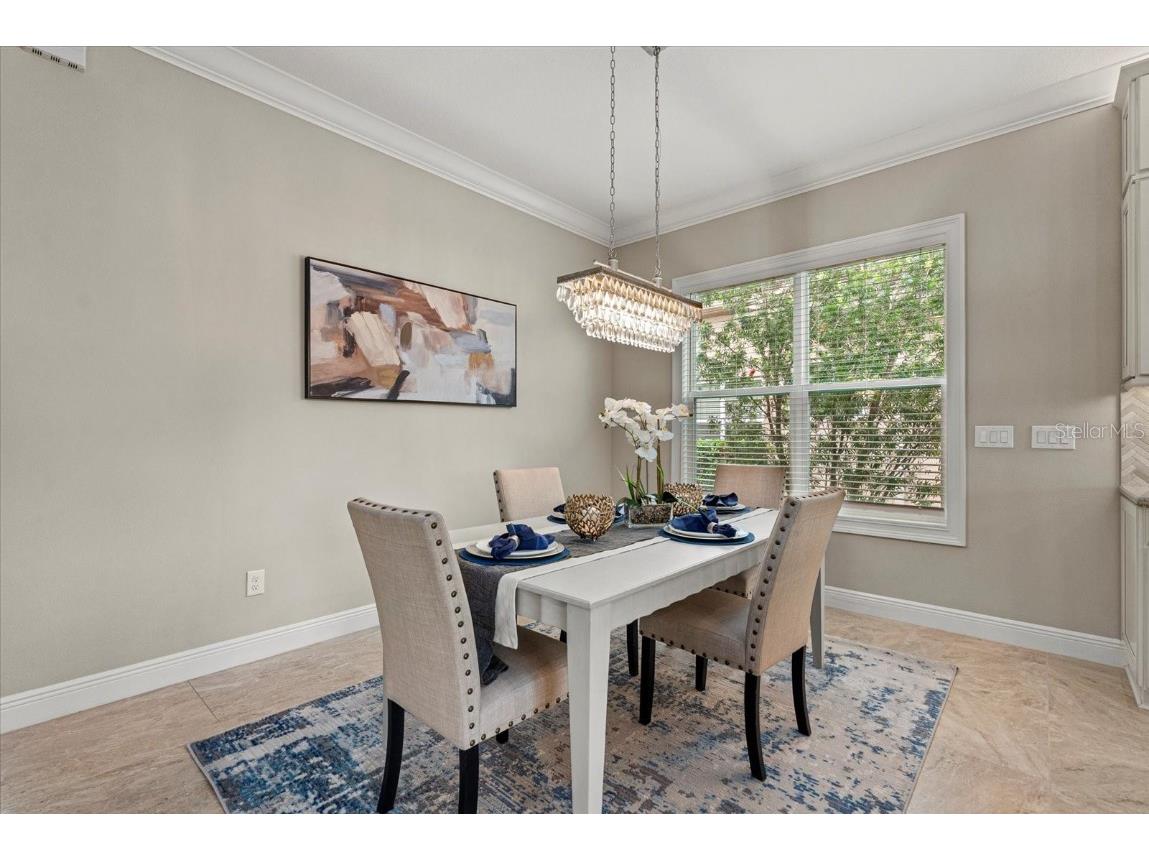 31382 Chesapeake Bay Drive Wesley Chapel FL 33543 TB8373970 image14