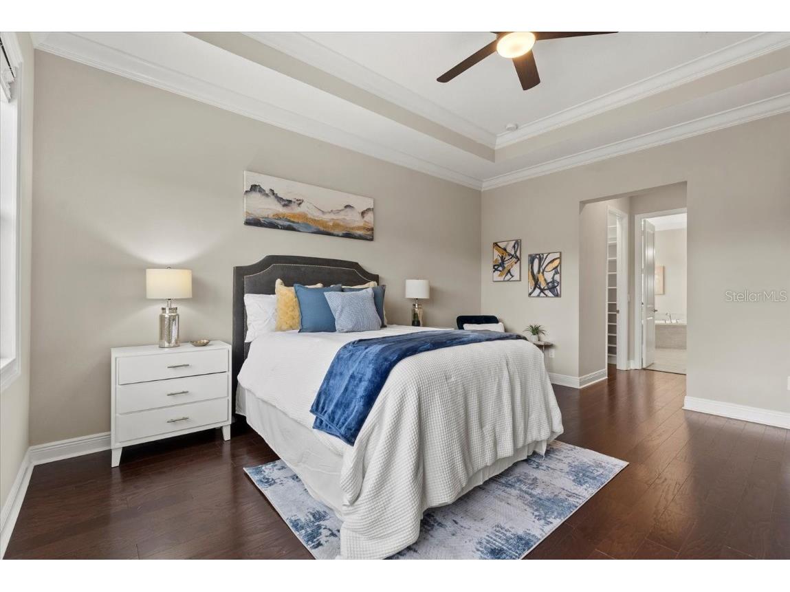 31382 Chesapeake Bay Drive Wesley Chapel FL 33543 TB8373970 image20