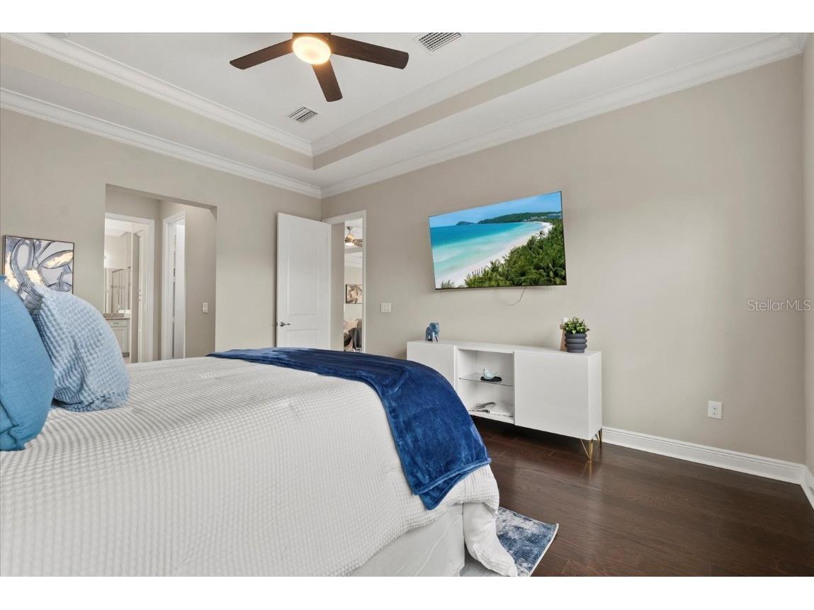 31382 Chesapeake Bay Drive Wesley Chapel FL 33543 TB8373970 image21