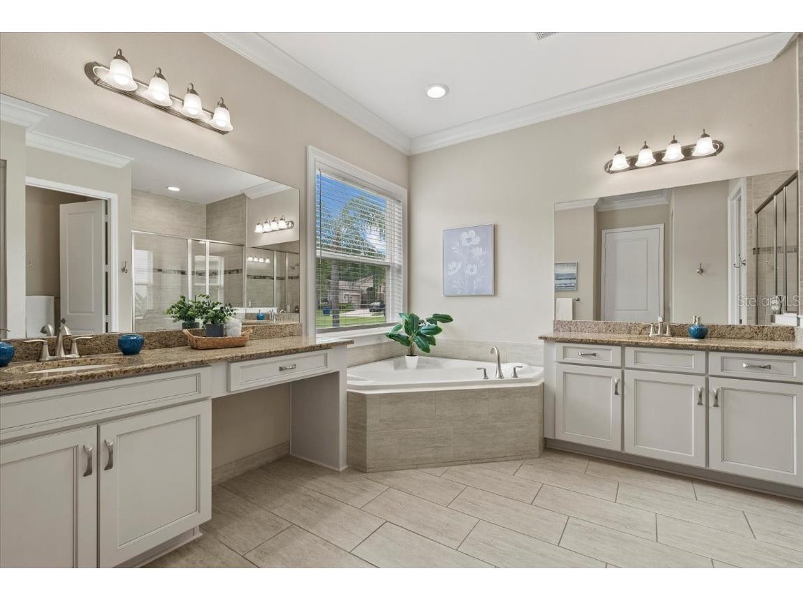 31382 Chesapeake Bay Drive Wesley Chapel FL 33543 TB8373970 image23