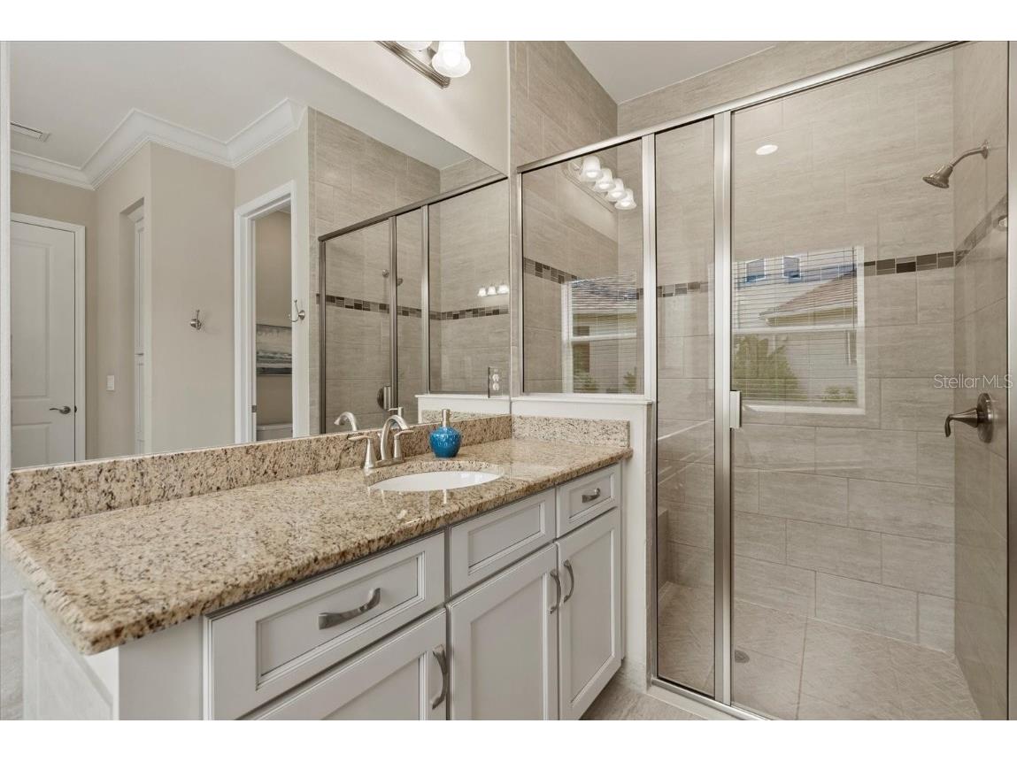 31382 Chesapeake Bay Drive Wesley Chapel FL 33543 TB8373970 image24