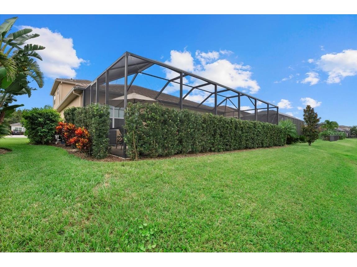 31382 Chesapeake Bay Drive Wesley Chapel FL 33543 TB8373970 image32