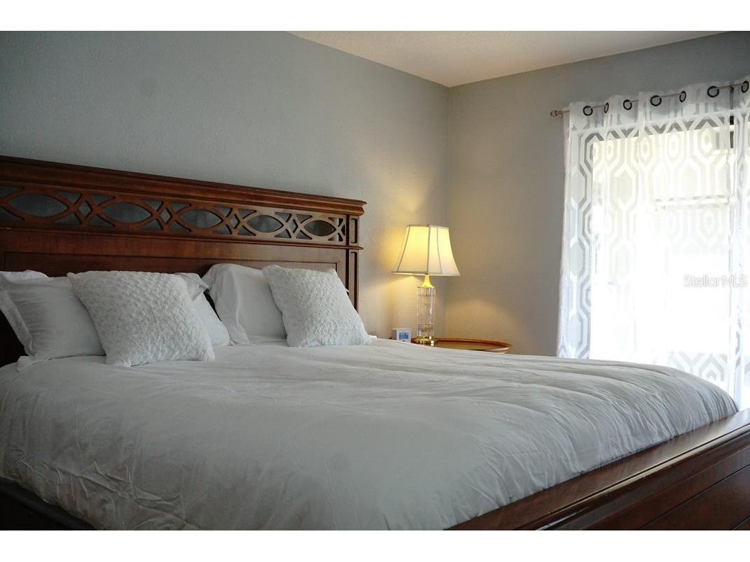 3139 Carlos Drive Dunedin FL 34698 TB8499324 image7