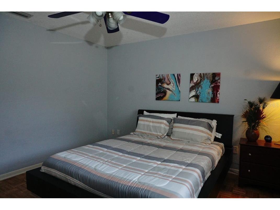 3139 Carlos Drive Dunedin FL 34698 TB8499324 image8