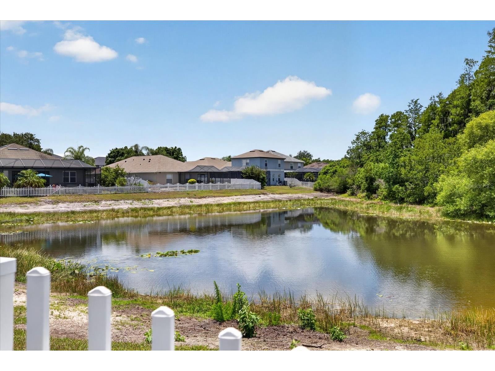 3139 Donington Castle Lane Land O Lakes FL 34638 TB8503048 image32