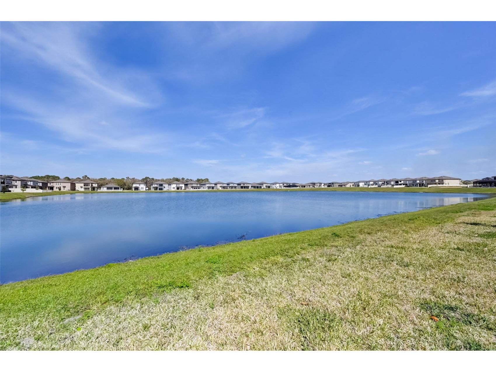 3139 Marine Grass Drive Wimauma FL 33598 TB8479712 image32
