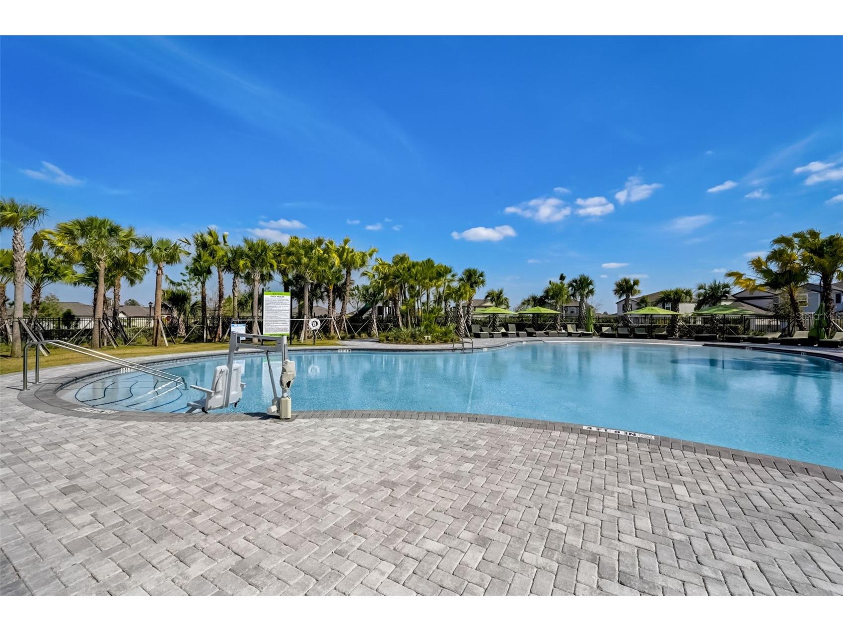 3139 Marine Grass Drive Wimauma FL 33598 TB8501503 image47