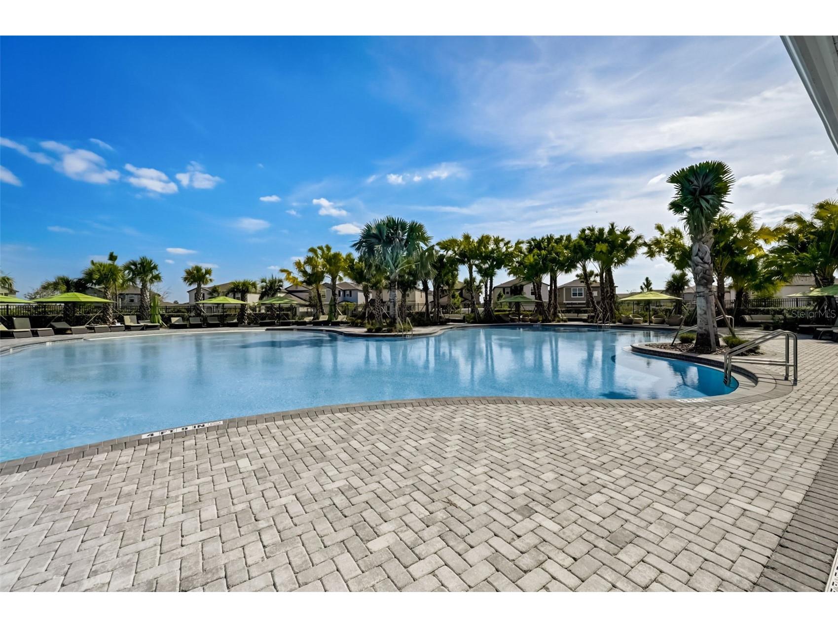 3139 Marine Grass Drive Wimauma FL 33598 TB8501503 image48
