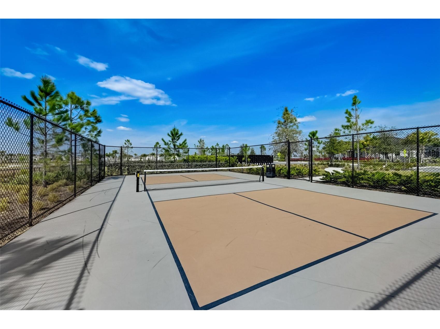 3139 Marine Grass Drive Wimauma FL 33598 TB8501503 image49