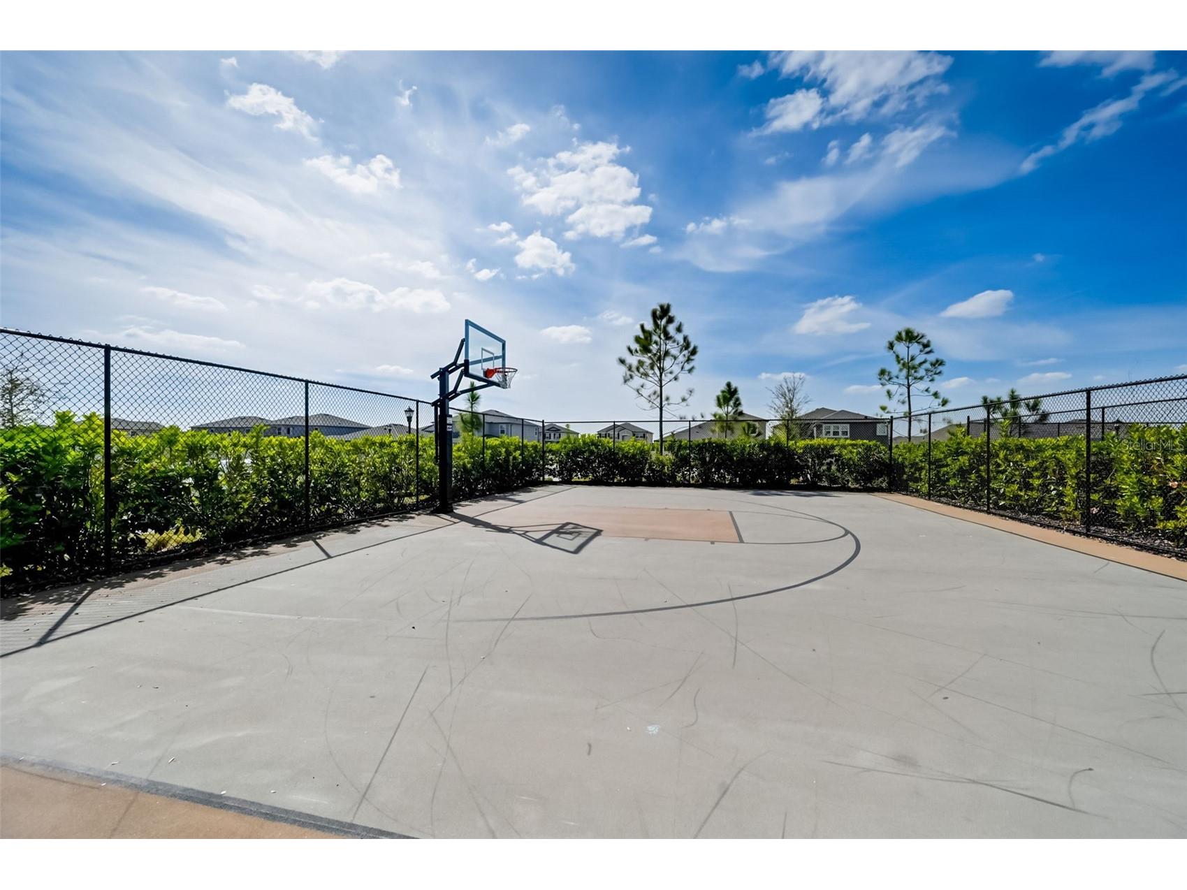3139 Marine Grass Drive Wimauma FL 33598 TB8501503 image50