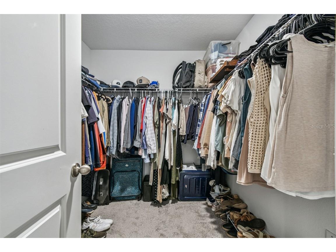 3139 Silver Date Drive Wimauma FL 33598 TB8442610 image20