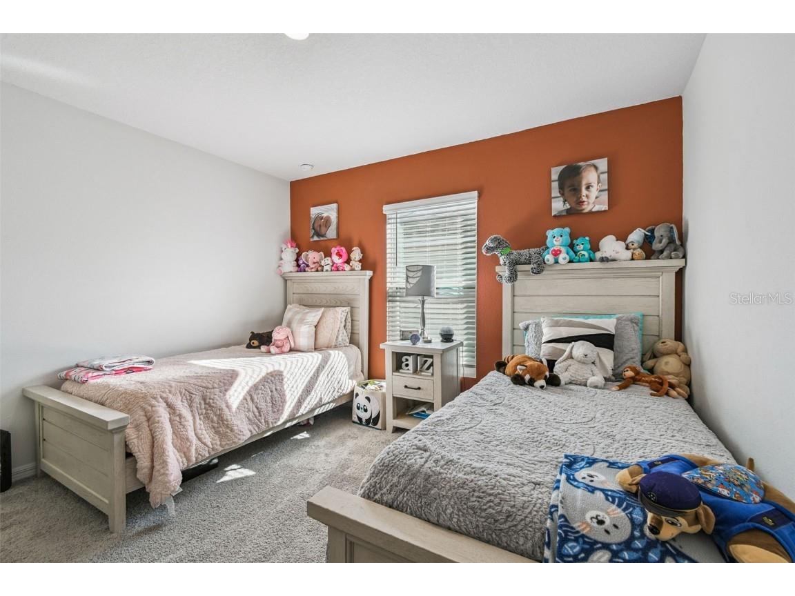 3139 Silver Date Drive Wimauma FL 33598 TB8442610 image24