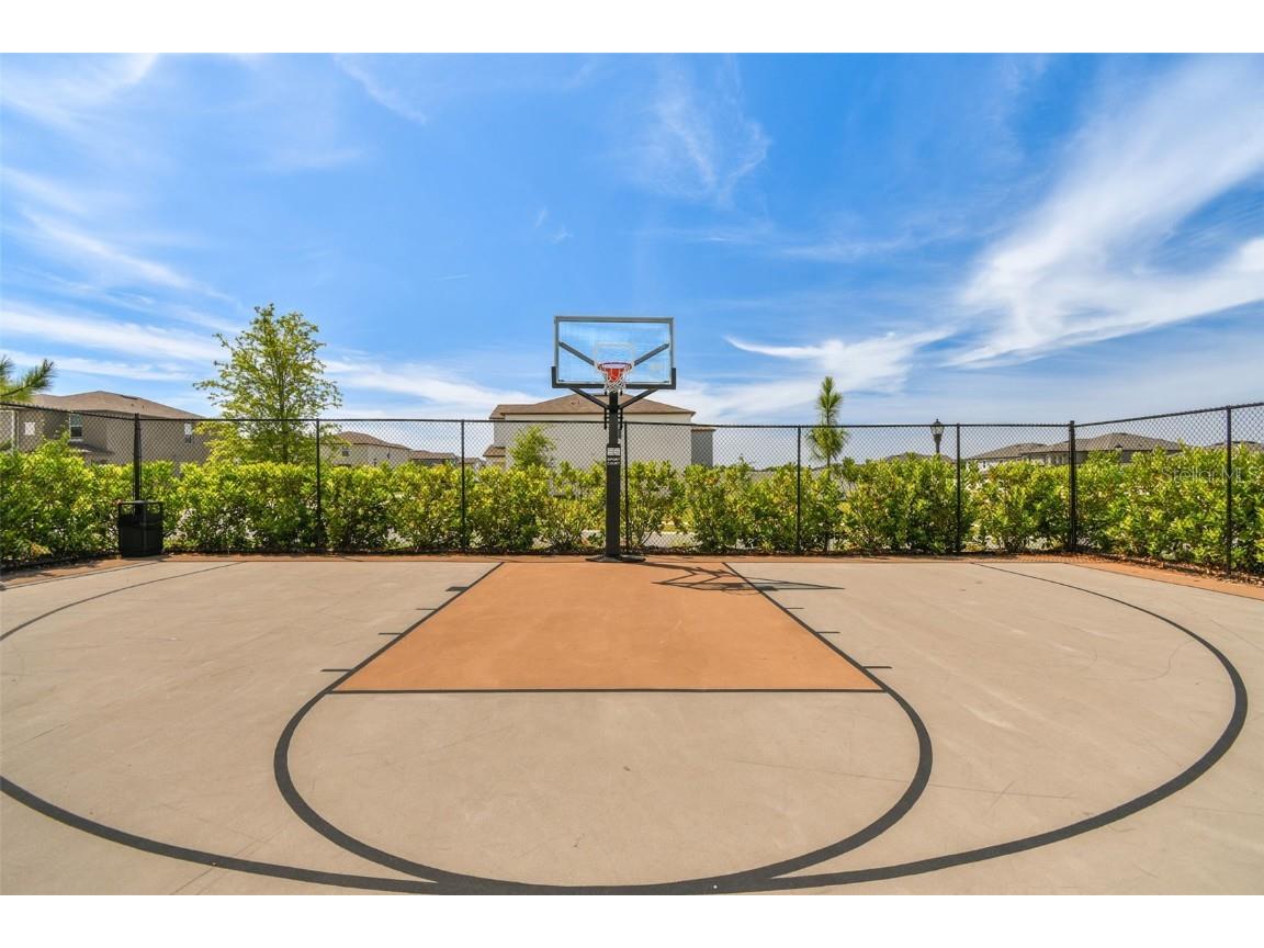 3139 Silver Date Drive Wimauma FL 33598 TB8442610 image46