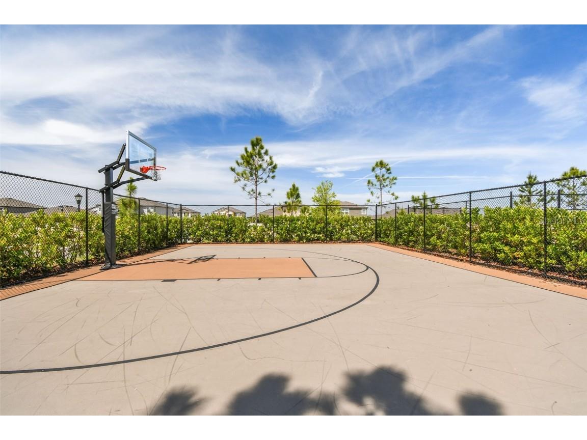 3139 Silver Date Drive Wimauma FL 33598 TB8442630 image45