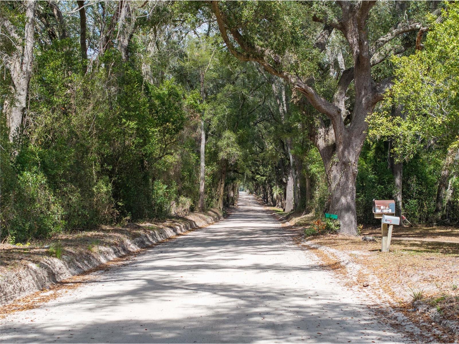 3139 SW Mauldin Avenue Lake City FL 32024 GC537883 image1