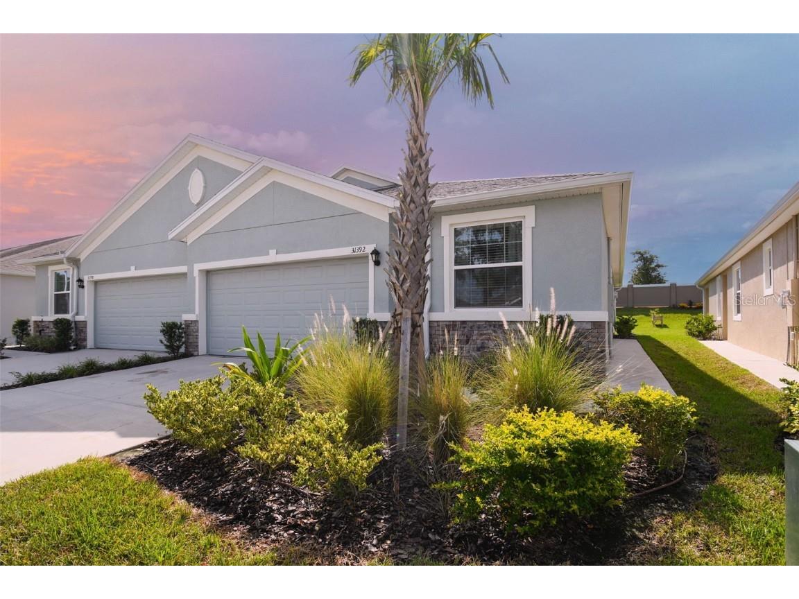 31392 Mango Fade Way San Antonio FL 33576 T3404297 image1