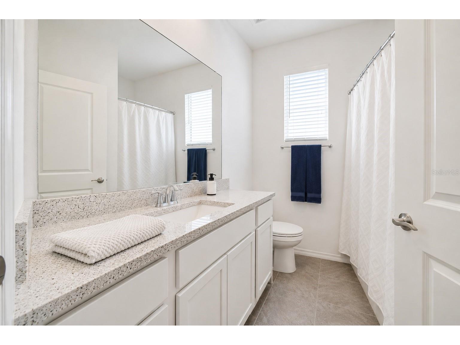 31398 Ancient Sage Road Wesley Chapel FL 33545 TB8521385 image11