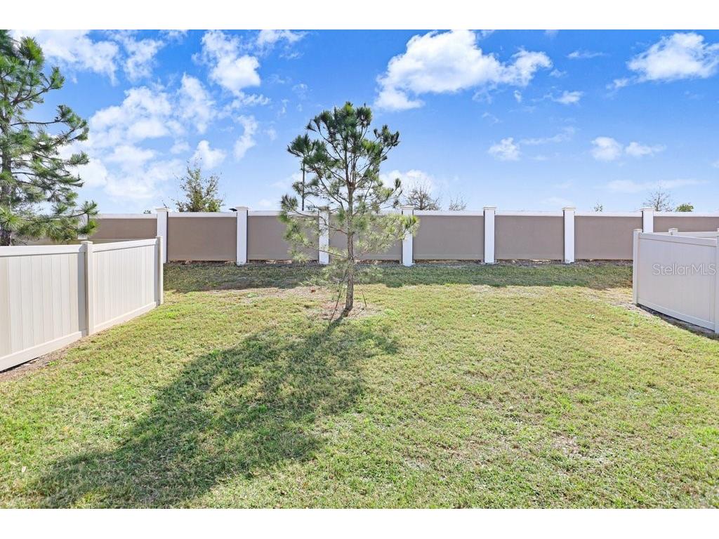 31398 Mango Fade Way San Antonio FL 33576 TB8478584 image25